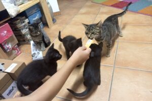 moni und kinder 01 moni und kinder 01