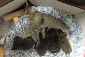 moni und kinder 02 moni und kinder 02