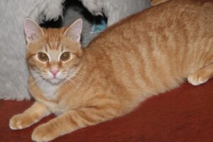 neroli IMG_4256we neroli IMG_4256we