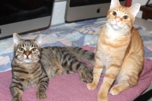 neroli nyoko IMG_4562we