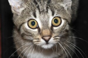 nyoko IMG_0924we nyoko IMG_0924we