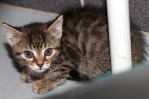 nyoko IMG_2737we nyoko IMG_2737we