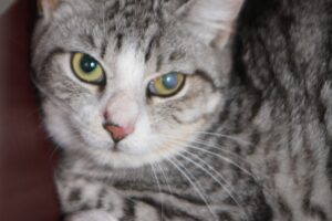 odette IMG_0414we