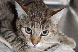 ophelia IMG_0278we
