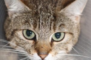 ophelia IMG_0478we