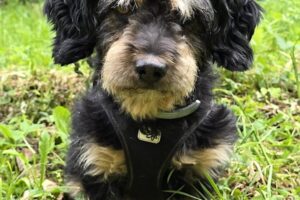 otis IMG_1002 otis IMG_1002