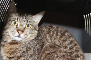 otis IMG_1507we otis IMG_1507we