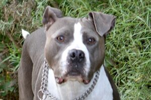 rusty IMG_0572we