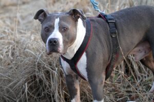 rusty IMG_1319we