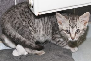 tami IMG_1761we tami IMG_1761we