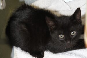 tilly IMG_2009we tilly IMG_2009we