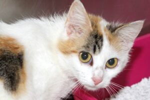 xena IMG_0856we
