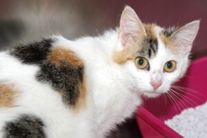 xena IMG_0858we