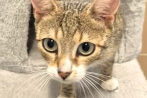 Izzie IMG 001