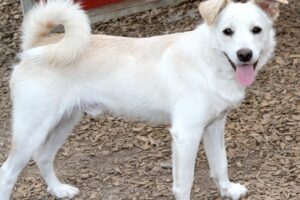 angelo IMG_3736we angelo IMG_3736we