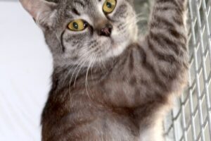 chucky IMG_2507we