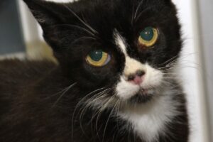 claire IMG_4168we claire IMG_4168we