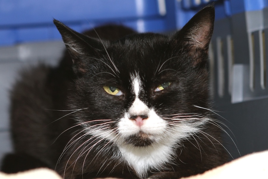 claire IMG_4280we claire IMG_4280we