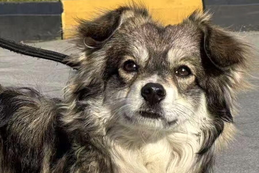 Screenshot Screenshot