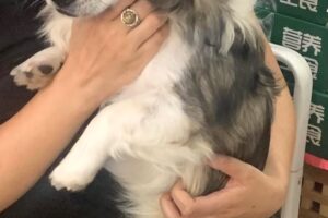 coffee IMG_7652 coffee IMG_7652