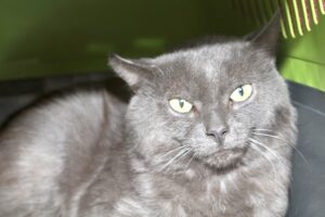 cosmo IMG_9808we