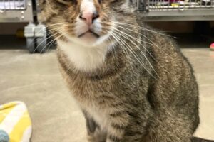 duman IMG 01 duman IMG 01