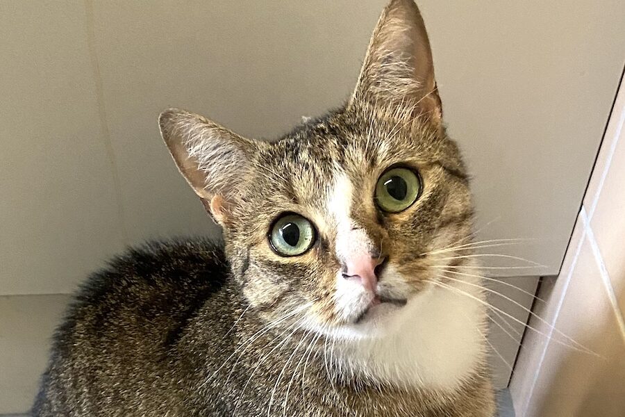 duman abgabe 1we duman abgabe 1we