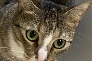 duman abgabe 5we duman abgabe 5we