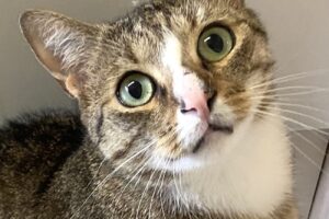 duman abgabe 6we duman abgabe 6we