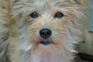 fee IMG-0251 fee IMG-0251