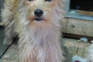 fee IMG-0253 fee IMG-0253