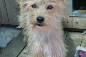 fee IMG-0260 fee IMG-0260