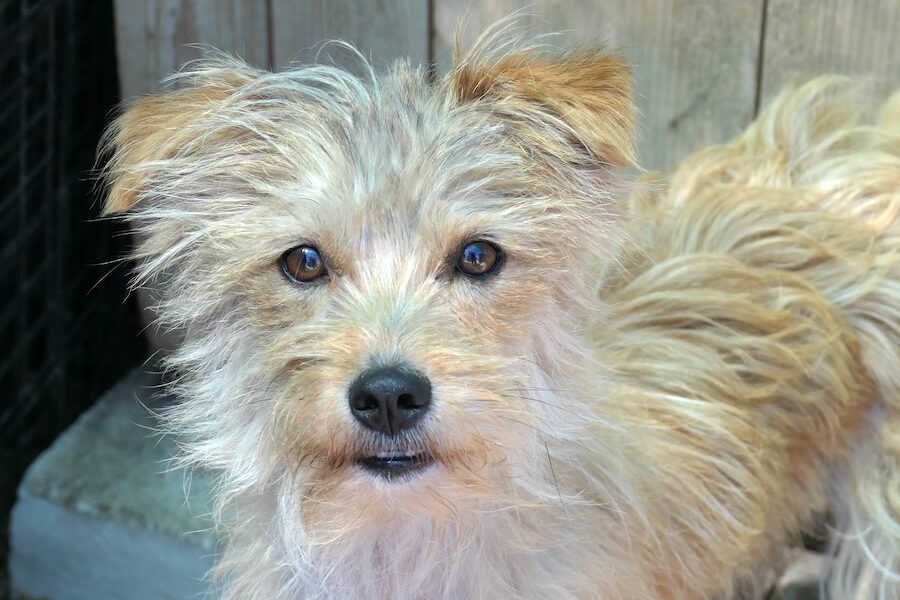 fee IMG-0266 fee IMG-0266