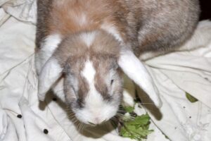 feli IMG_3508we feli IMG_3508we