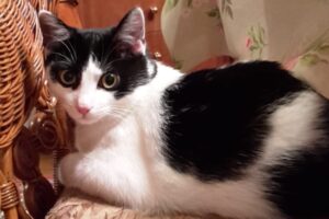 felix privat 03 felix privat 03