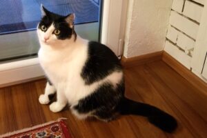 felix privat 04 felix privat 04