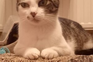 gin IMG_2144