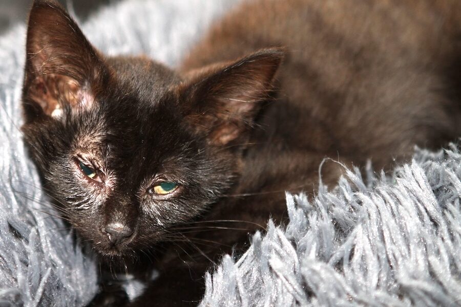 hugo IMG_3346we hugo IMG_3346we