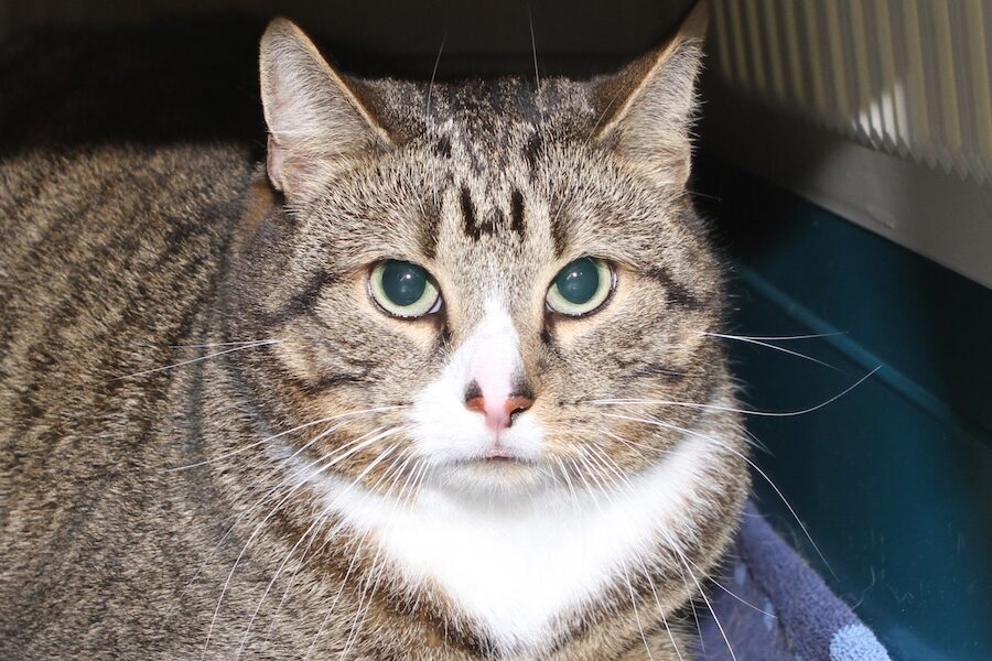 jonny getweiss sunny rotweiss IMG_4257