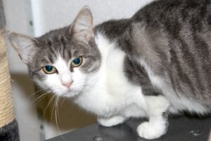 luisa IMG_1671we luisa IMG_1671we