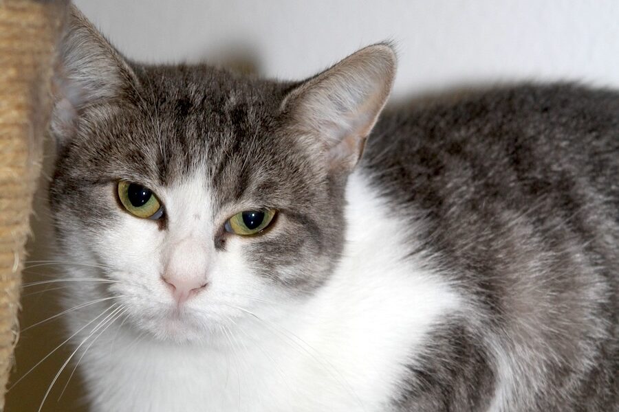 luisa IMG_1674we luisa IMG_1674we