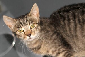 moni IMG_2069we moni IMG_2069we