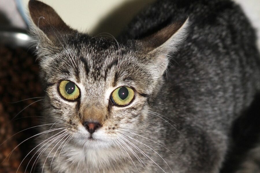 moni IMG_2070we moni IMG_2070we