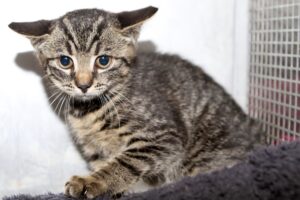 morris IMG_3107we morris IMG_3107we