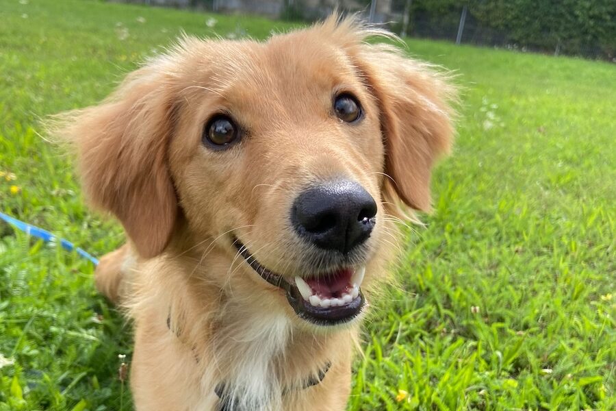 nala IMG_2000 nala IMG_2000