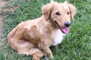 nala WA0008 nala WA0008