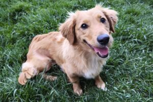 nala WA0012 nala WA0012