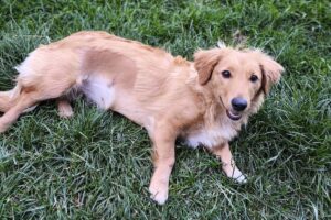 nala WA0015 nala WA0015