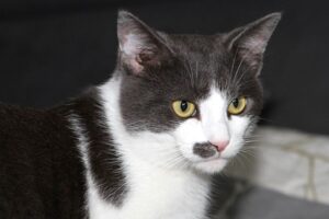 pascha IMG_4470we pascha IMG_4470we