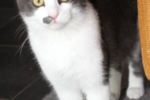 pascha IMG_4484we pascha IMG_4484we